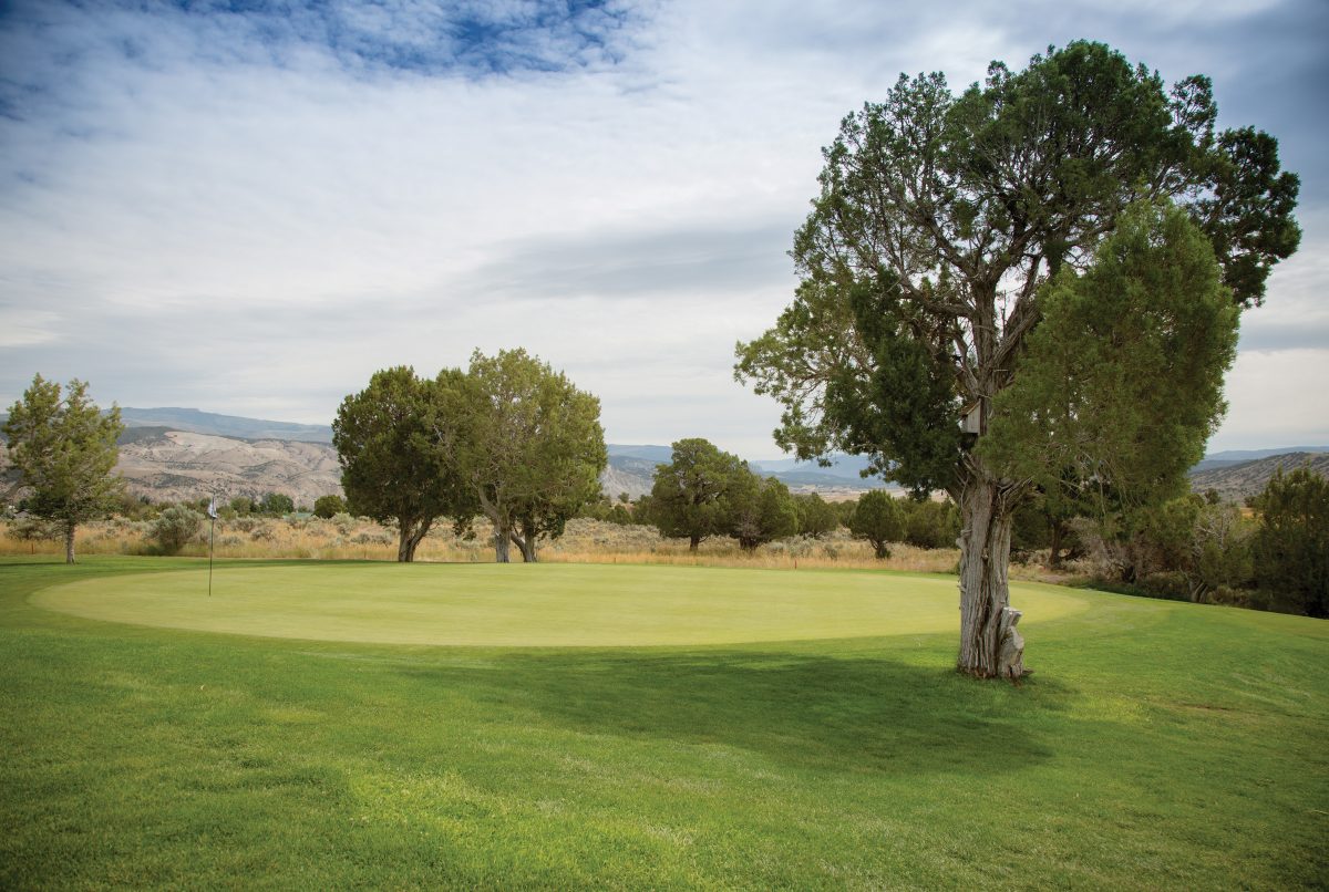 2019_TOG_golfing_hi res-9564